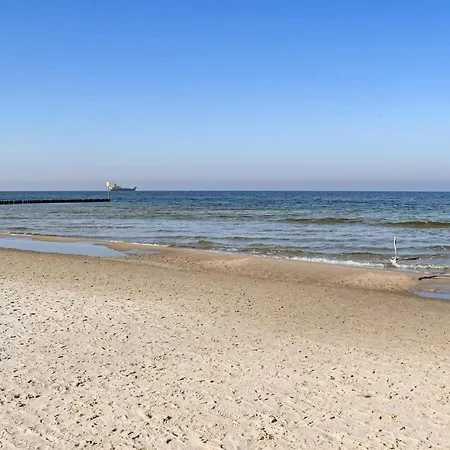 1 Bedroom Beautiful In *